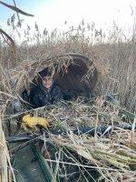 IMG_1962.jpeg