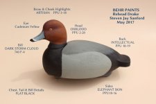 sm RedheadDrake with BEHR PAINTS.JPG