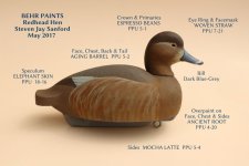 sm Redhead Hen with BEHR PAINTS.JPG