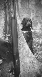 IMG_6715.jpeg