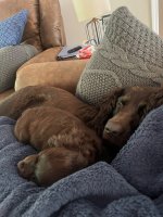 IMG_1344.jpeg
