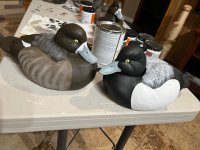 IMG_4600.jpeg