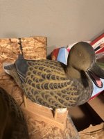 IMG_4669.jpeg
