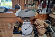 Sanford Pintail on scale - BEST.jpg