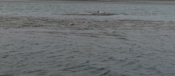 IMG_8177.jpeg