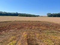 pit south view 2025.jpg pit south view 2025.jpg