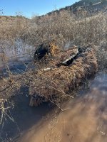 IMG_2846.jpeg