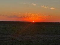 IMG_4643.jpg
