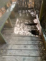 IMG_7295.jpeg