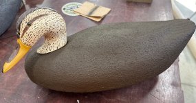 IMG_0380.jpeg