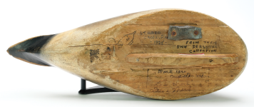 Pintail 3.png