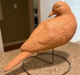 IMG_5285.jpg
