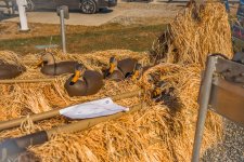 Island Outdoors Media TM-87.jpg Island Outdoors Media TM-87.jpg