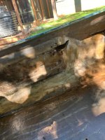 IMG_2167.jpg IMG_2167.jpg