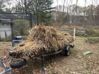 IMG_3560.JPEG IMG_3560.JPEG