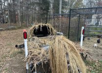 IMG_3562.JPEG IMG_3562.JPEG