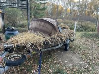 IMG_3555.JPEG IMG_3555.JPEG