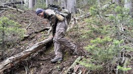 1762536150167.jpeg 1762536150167.jpeg