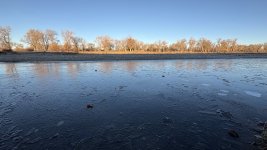 1762537266872.jpeg 1762537266872.jpeg