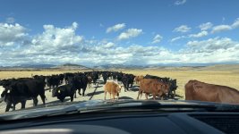 1762537900904.jpeg 1762537900904.jpeg