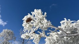 1762537972174.jpeg 1762537972174.jpeg