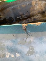 IMG_2169.jpeg IMG_2169.jpeg