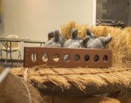 IMG_7004.jpeg IMG_7004.jpeg