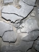 IMG_7609.jpeg IMG_7609.jpeg