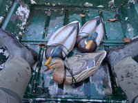 3 Wildfowlers twixt my boots.jpg