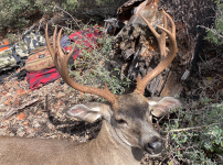 Screenshot 2025-11-17 at 9.09.12 AM.png