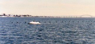 W12 Watts - Dodge & Crowell Scooter west of bridge.jpg W12 Watts - Dodge & Crowell Scooter west of bridge.jpg