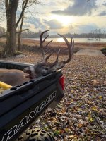 IMG_1539.jpeg IMG_1539.jpeg