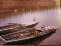 Nellist doubld 2 boats.png