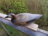 3  Wildfowler Pintail - sealed, new eyes.jpg