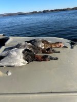 OPENING DAY 2025 - Copy.jpg