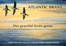 Sunrise Brant  BANNER with TITLES.jpg