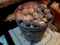 3 sm Walnuts in bucket 1.jpg 3 sm Walnuts in bucket 1.jpg