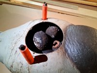 6 sm Mallard with Walnuts - B CLOSEUP.jpg 6 sm Mallard with Walnuts - B CLOSEUP.jpg