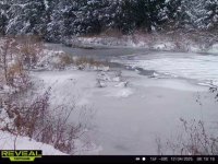 IMG_7987.jpeg IMG_7987.jpeg