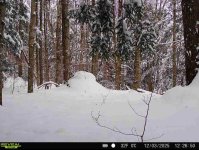 IMG_7988.jpeg IMG_7988.jpeg