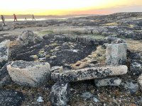 IMG_0383.jpeg IMG_0383.jpeg