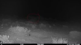 1765554149145.jpeg 1765554149145.jpeg