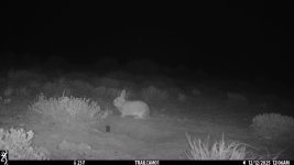 1765554180574.jpeg 1765554180574.jpeg