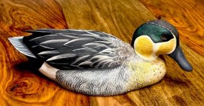 IMG_5443.jpg IMG_5443.jpg