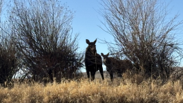 1765980477761.png 1765980477761.png