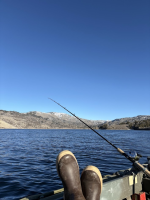 1765980569954.png 1765980569954.png