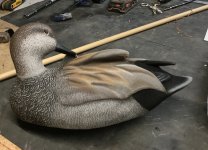 IMG_3583.JPG IMG_3583.JPG