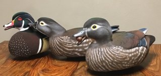 IMG_3628.JPG IMG_3628.JPG