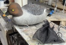 IMG_5514.jpg IMG_5514.jpg