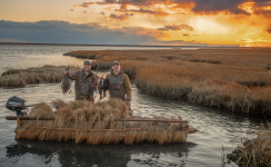 Screenshot 2026-01-13 at 11.13.33 PM.png Screenshot 2026-01-13 at 11.13.33 PM.png